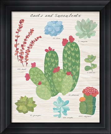 Framed Succulent and Cacti Chart IV on Wood Print
