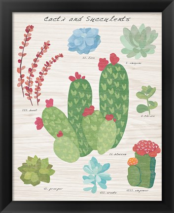 Framed Succulent and Cacti Chart IV on Wood Print