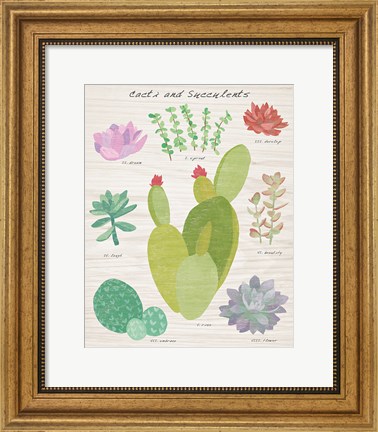 Framed Succulent and Cacti Chart III on Wood Print