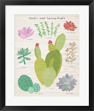 Framed Succulent and Cacti Chart III on Wood Print