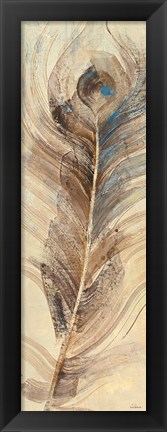 Framed Feather Study Single Feather Print