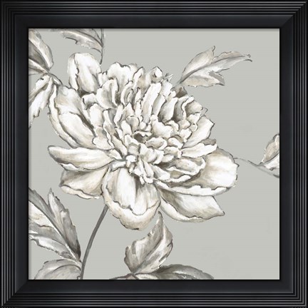 Framed Botanical II Print