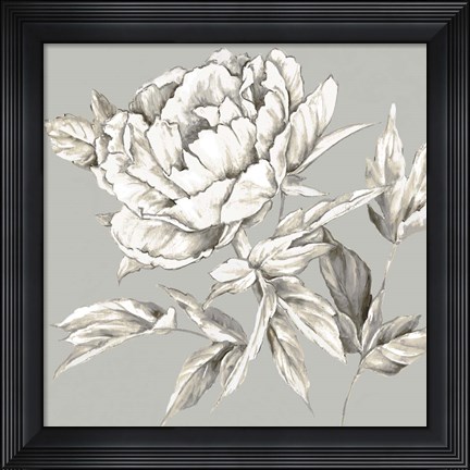 Framed Botanical III Print
