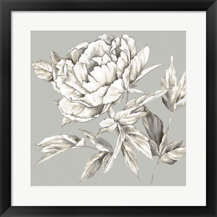 Framed Botanical III Print