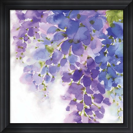 Framed Wisteria I Print