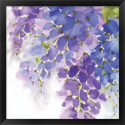 Framed Wisteria I Print