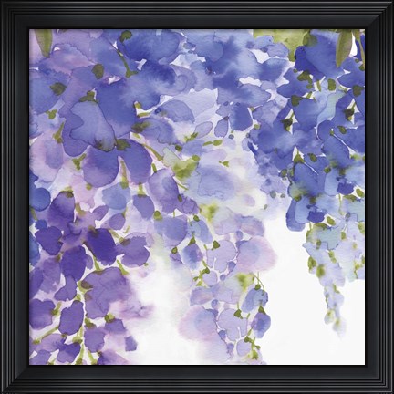 Framed Wisteria II Print