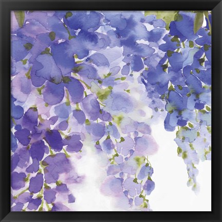 Framed Wisteria II Print