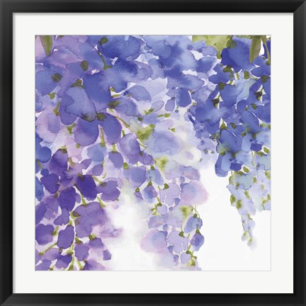 Framed Wisteria II Print