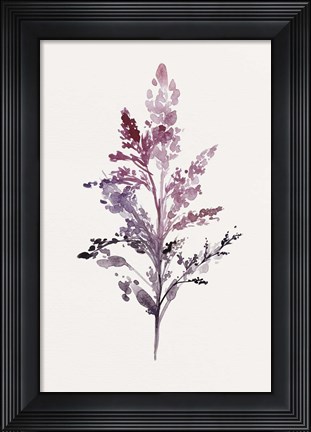 Framed Botanical II Print