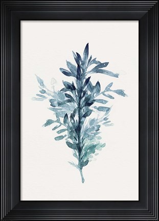 Framed Botanical III Print