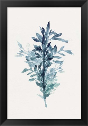 Framed Botanical III Print