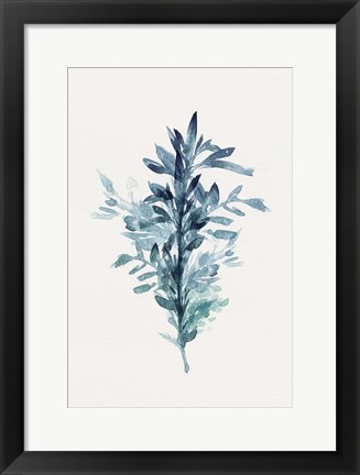 Framed Botanical III Print