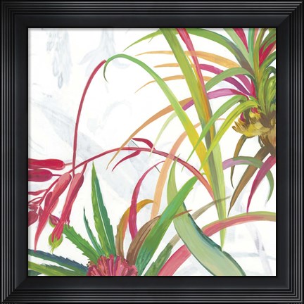 Framed Tropical II Print