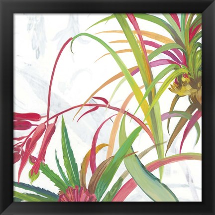 Framed Tropical II Print