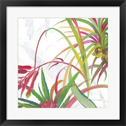 Framed Tropical II Print