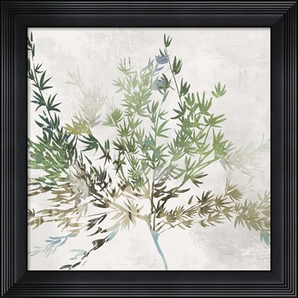 Framed Olive Branch Print