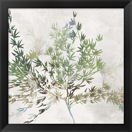 Framed Olive Branch Print