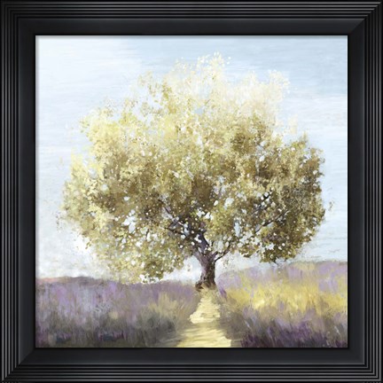 Framed Province Print