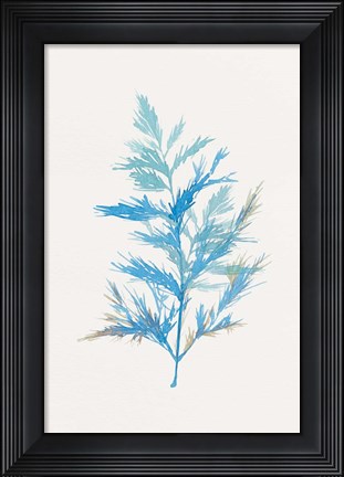 Framed Whimsical Botanical I Print