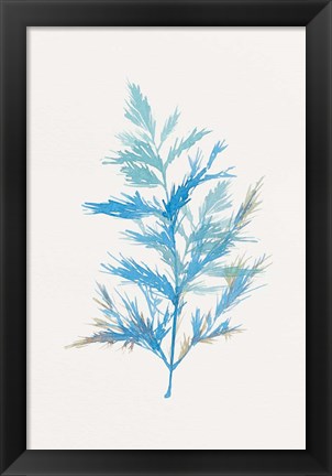 Framed Whimsical Botanical I Print