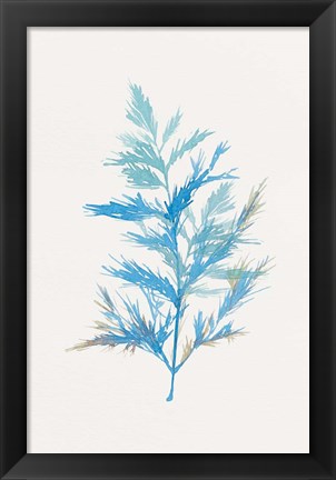 Framed Whimsical Botanical I Print