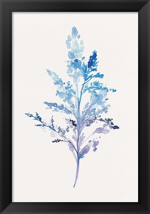 Framed Whimsical Botanical II Print