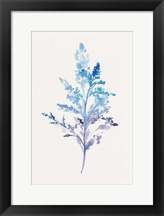 Framed Whimsical Botanical II Print