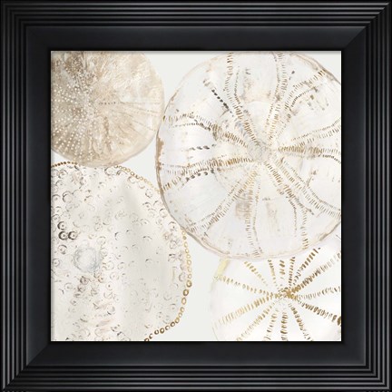 Framed Sea Patterns II Print
