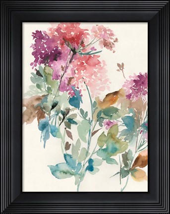 Framed Sweet Hydrangea I Print