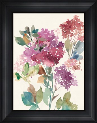 Framed Sweet Hydrangea II Print