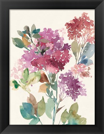 Framed Sweet Hydrangea II Print