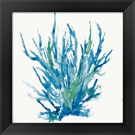 Framed Blue Coral I Print