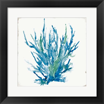 Framed Blue Coral I Print