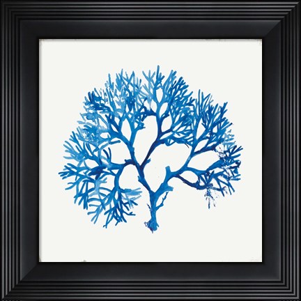 Framed Blue Coral II Print