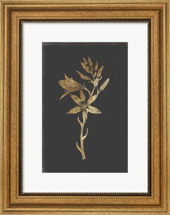 Framed Botanical Gold on Black I Print