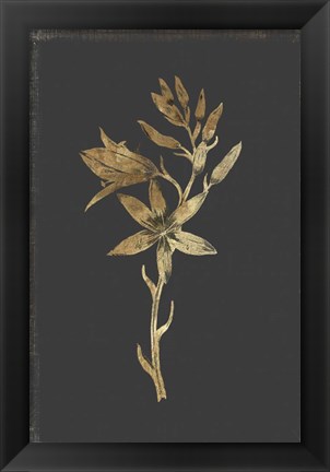 Framed Botanical Gold on Black I Print