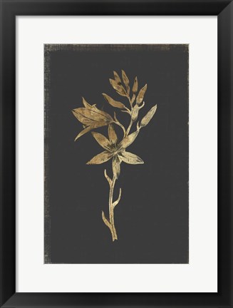 Framed Botanical Gold on Black I Print