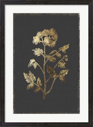 Framed Botanical Gold on Black II Print