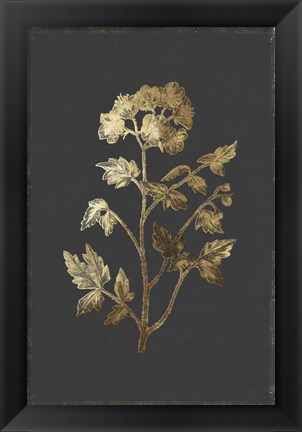 Framed Botanical Gold on Black II Print