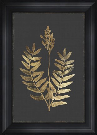 Framed Botanical Gold on Black III Print