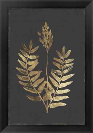 Framed Botanical Gold on Black III Print