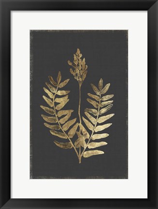 Framed Botanical Gold on Black III Print