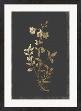 Framed Botanical Gold on Black IV Print