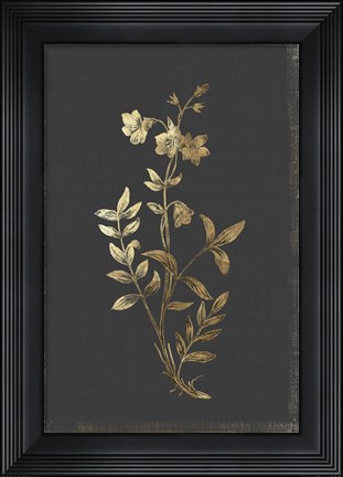 Framed Botanical Gold on Black IV Print