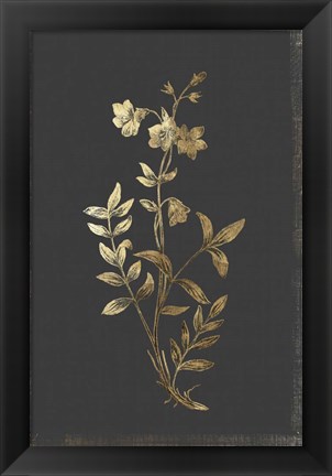 Framed Botanical Gold on Black IV Print