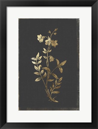 Framed Botanical Gold on Black IV Print