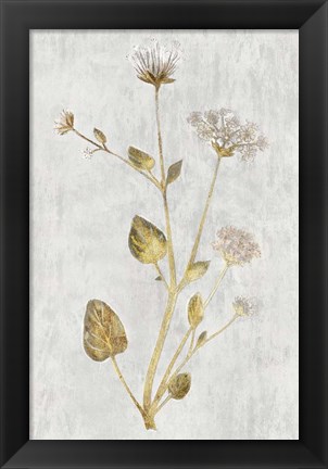 Framed Botanical Gold on White I Print