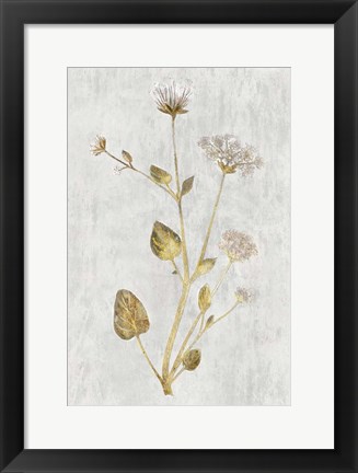 Framed Botanical Gold on White I Print