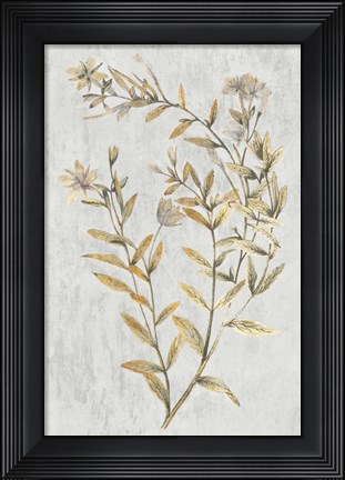 Framed Botanical Gold on White II Print
